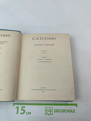 Собрание сочинений. Том V. Проза. Статьи и заметки. Автобиографии