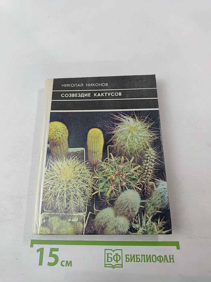 Созвездие кактусов