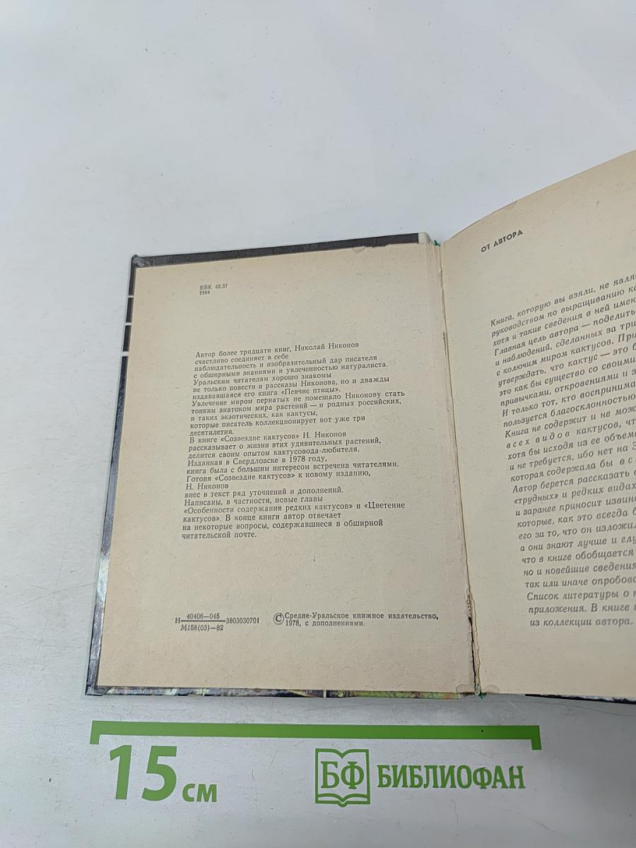 Созвездие кактусов