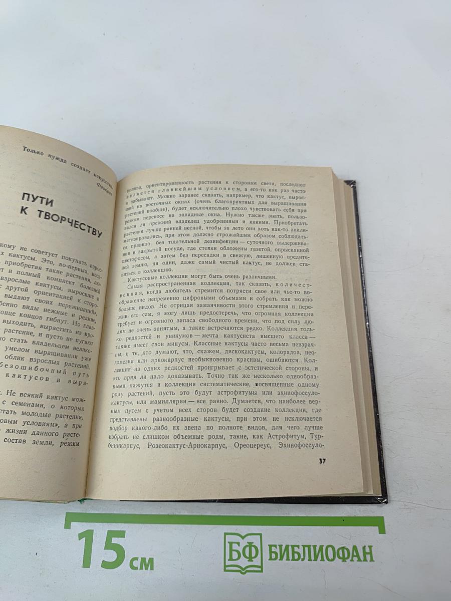 Созвездие кактусов