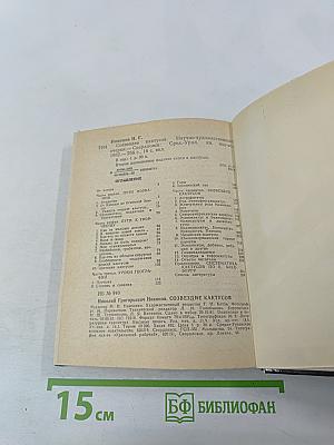 Созвездие кактусов