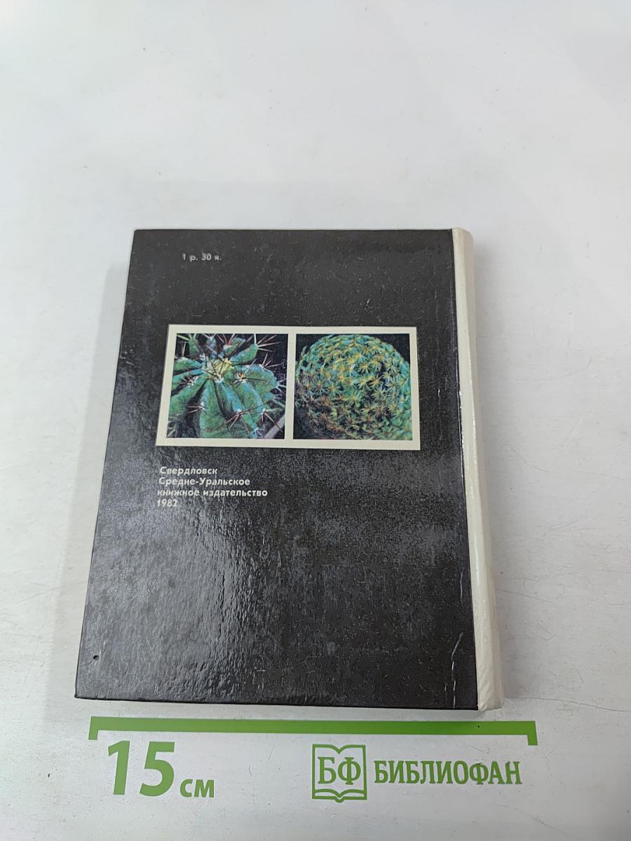 Созвездие кактусов