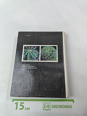 Созвездие кактусов