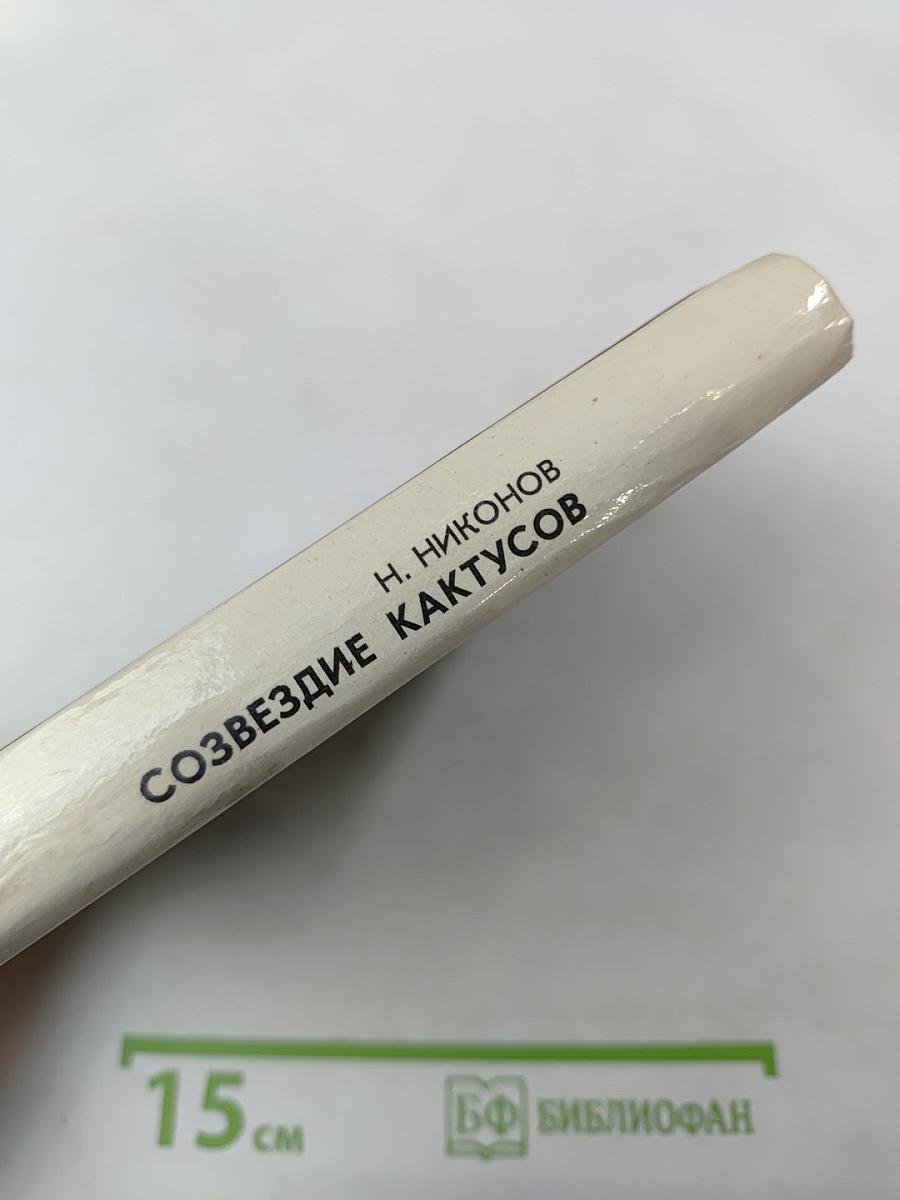 Созвездие кактусов