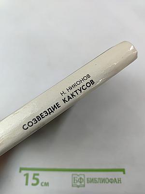 Созвездие кактусов