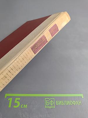 Сожженная Москва