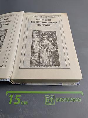 Мэри Энн. Не оглядывайся. На грани