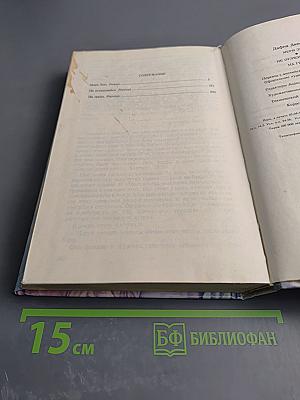 Мэри Энн. Не оглядывайся. На грани