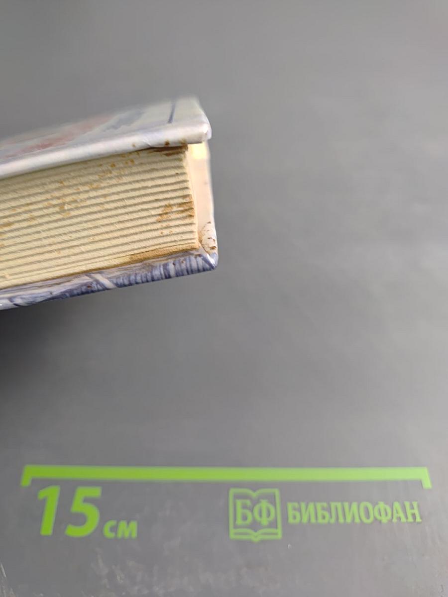 Мэри Энн. Не оглядывайся. На грани