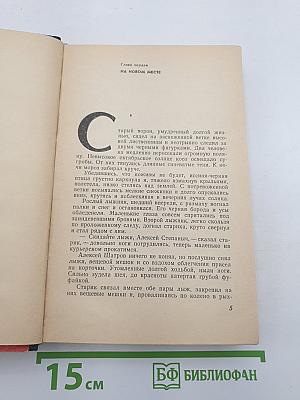 Год жизни