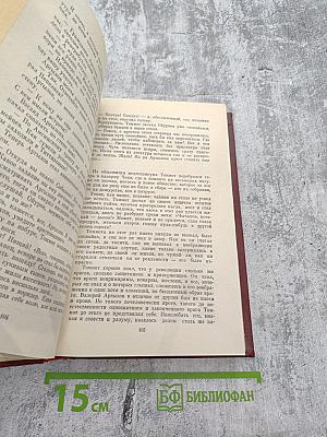 Красавица Амга