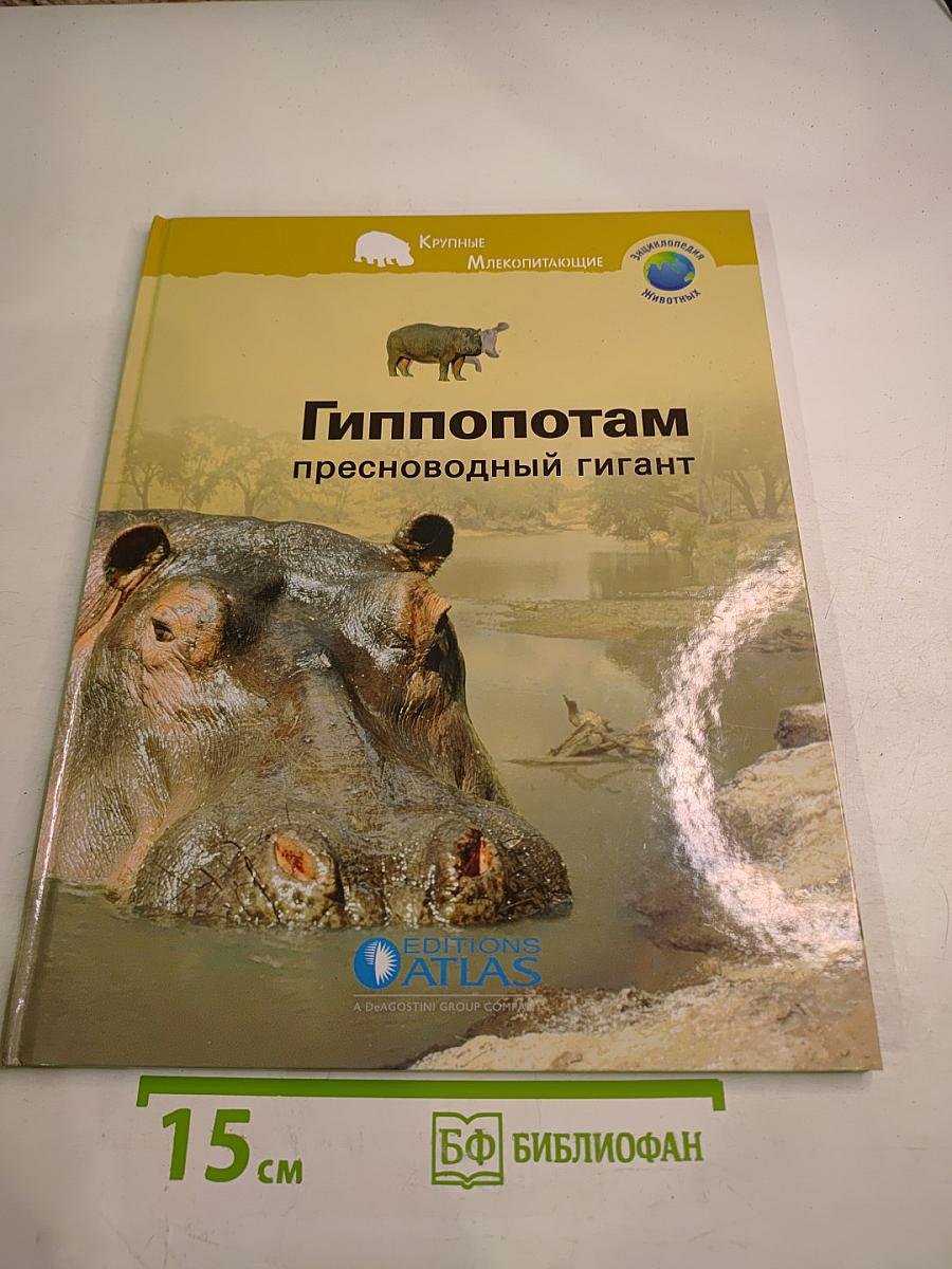 Гиппопотам пресноводный гигант