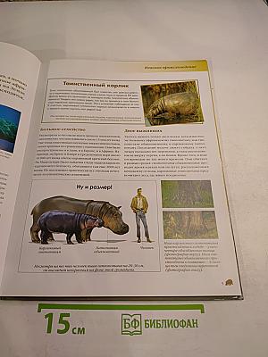 Гиппопотам пресноводный гигант