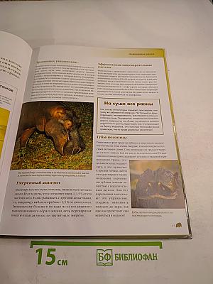 Гиппопотам пресноводный гигант