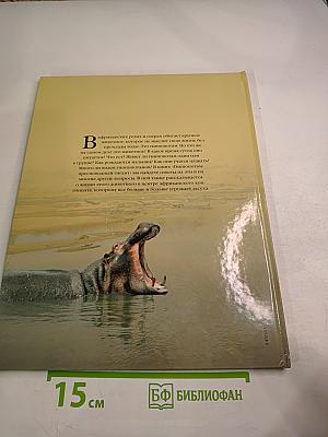 Гиппопотам пресноводный гигант