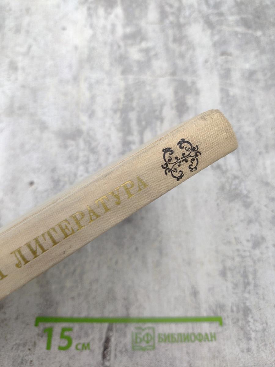 Зарубежная литература. Пособие по факультативному курсу для учащихся VIII - X классов