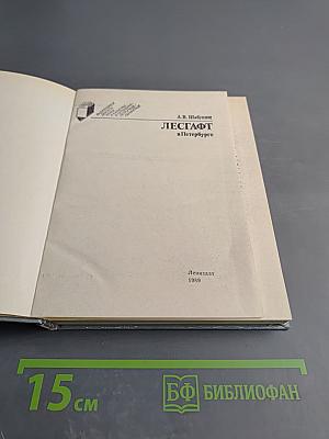 Лесгафт в Петербурге