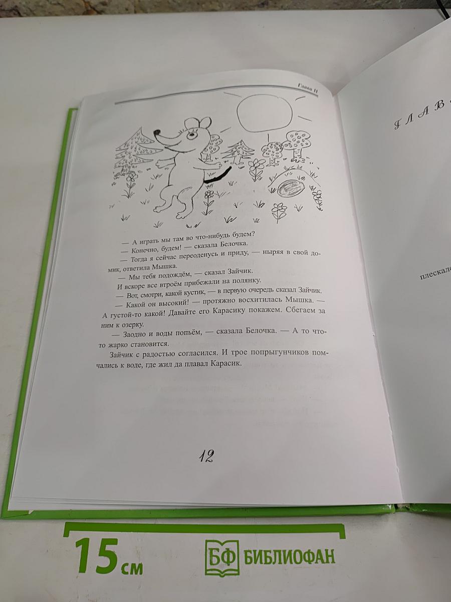 Приключение Газуни и Загули