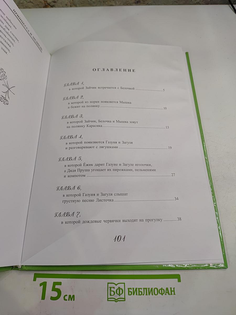 Приключение Газуни и Загули