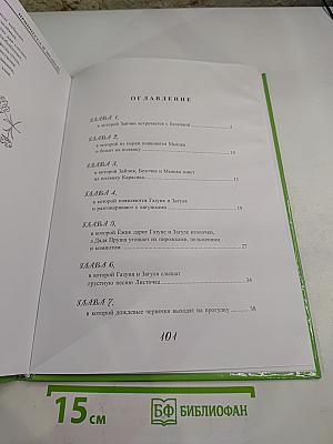 Приключение Газуни и Загули