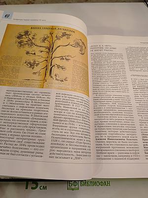 Энциклопедия для детей. Том 9. Русская литература XX век. Часть вторая