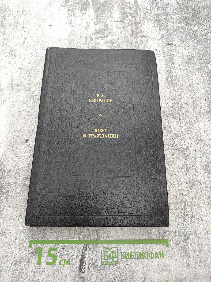 Поэт и гражданин. Избранные статьи