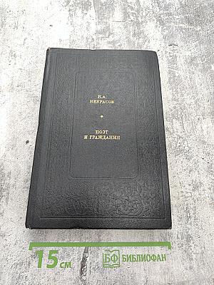 Поэт и гражданин. Избранные статьи