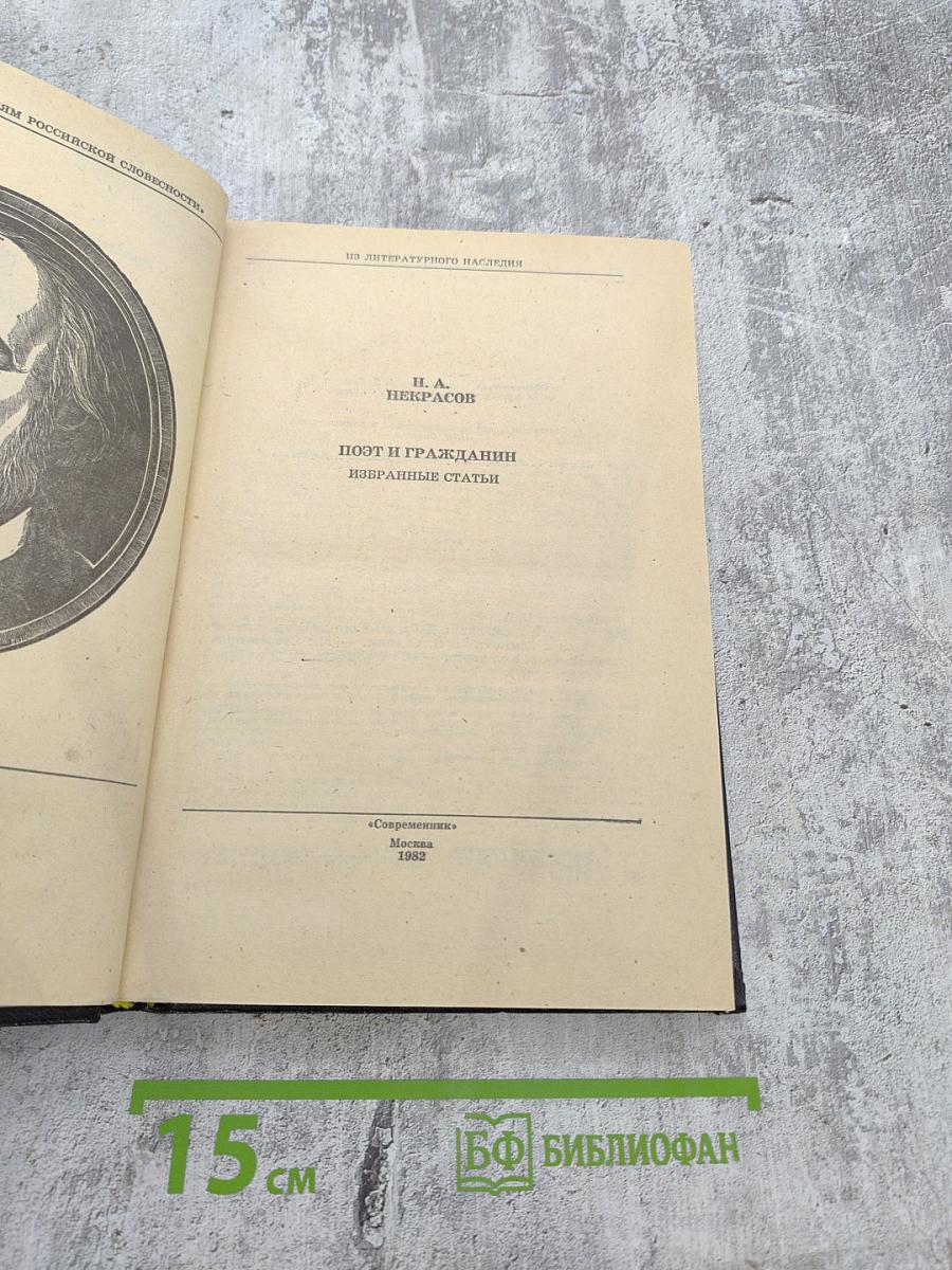 Поэт и гражданин. Избранные статьи