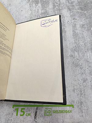 Поэт и гражданин. Избранные статьи