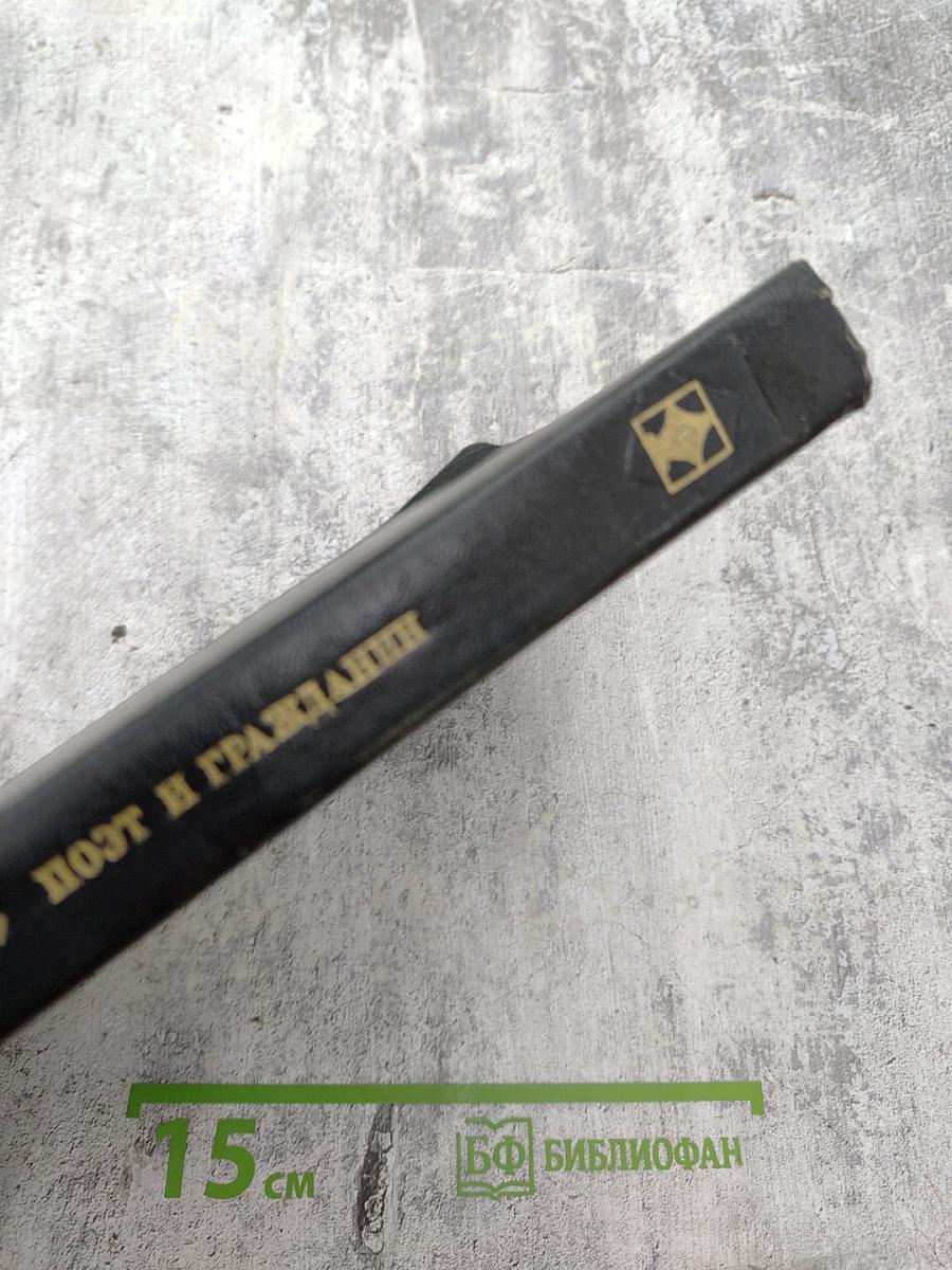 Поэт и гражданин. Избранные статьи