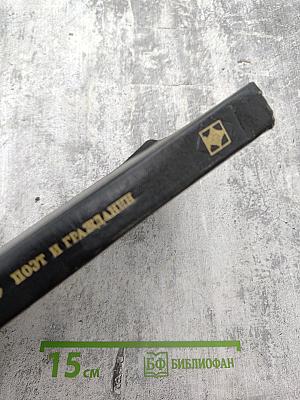 Поэт и гражданин. Избранные статьи