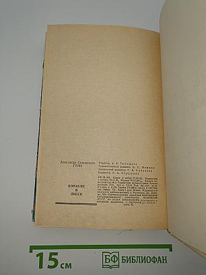 Корабли в Лиссе