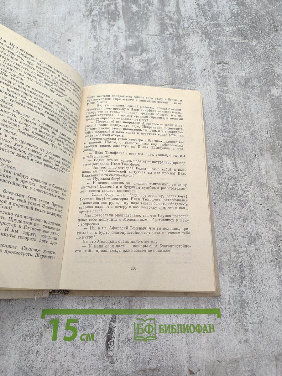 Современная идиллия