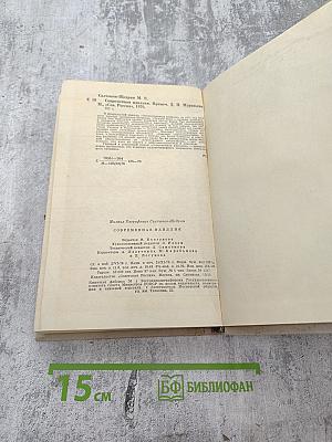 Современная идиллия