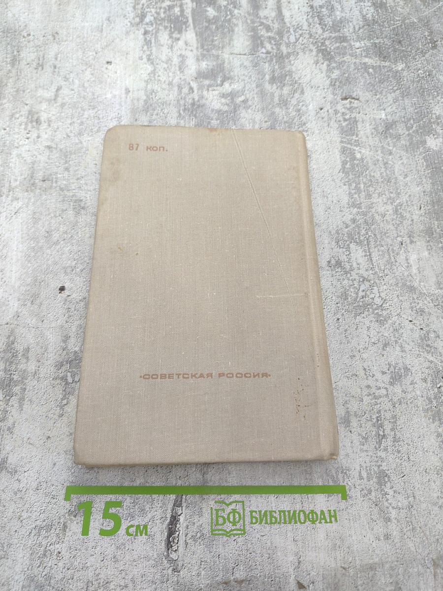 Современная идиллия