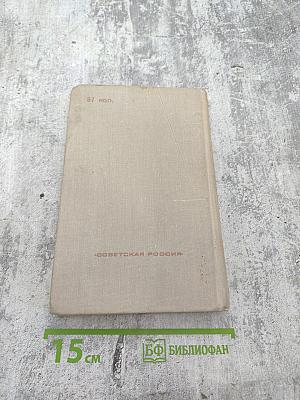 Современная идиллия