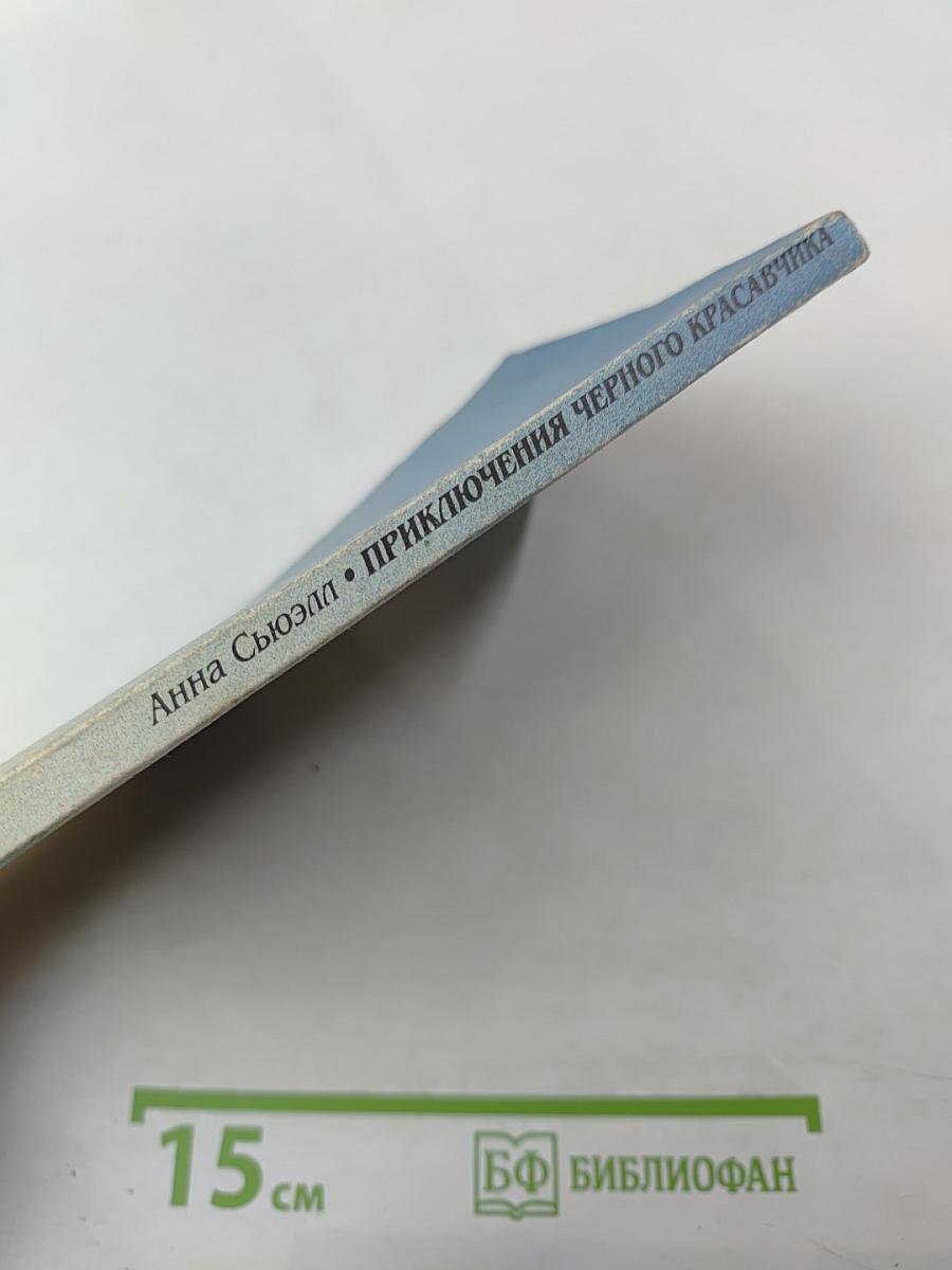 Приключения Черного Красавчика