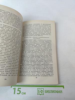 Святой Симеон Новый Богослов и его богословские воззрения
