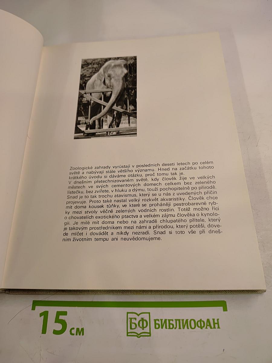 S kamerou po evropských zoo