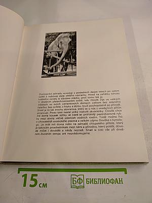 S kamerou po evropských zoo