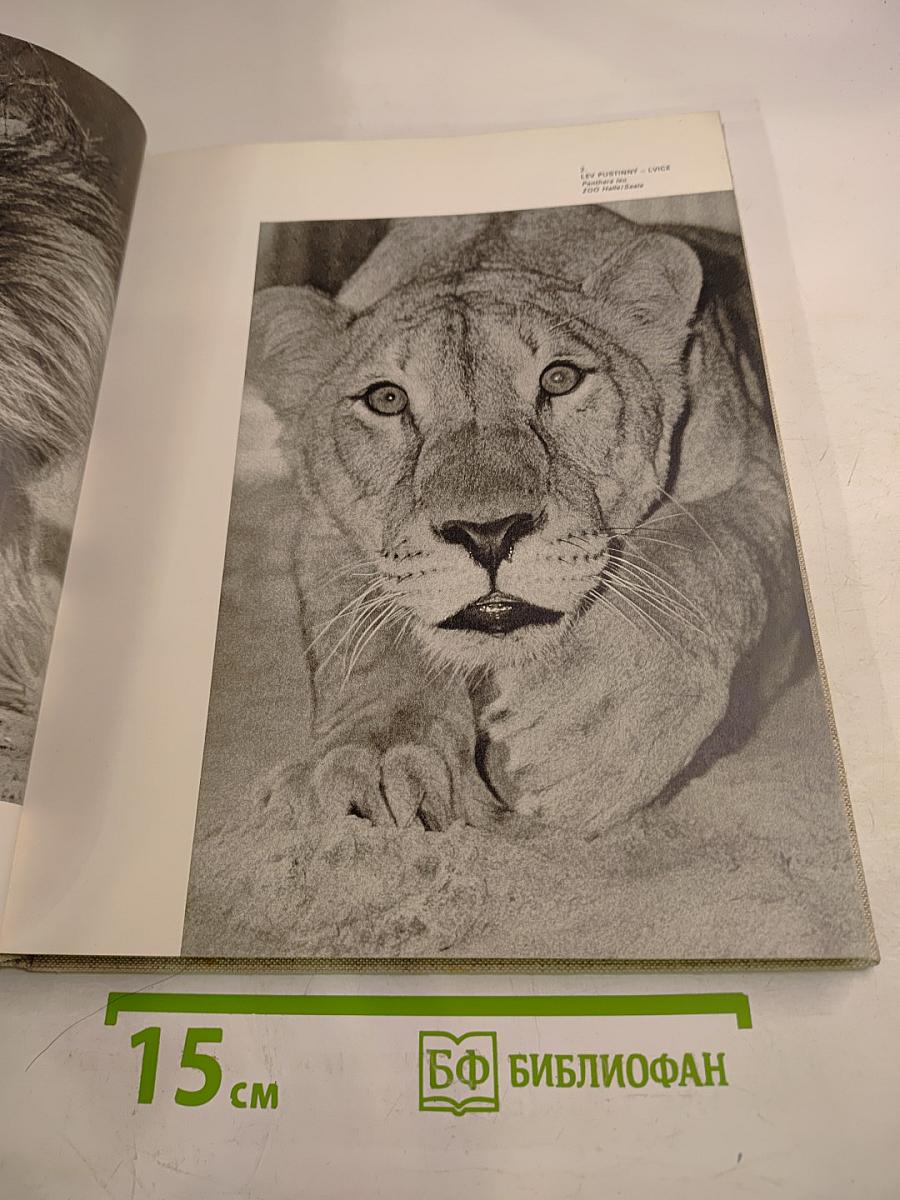 S kamerou po evropských zoo