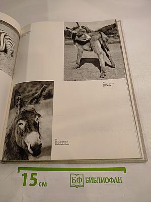 S kamerou po evropských zoo