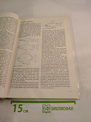 Salmler. Zierfisch-Monographien. Band 1