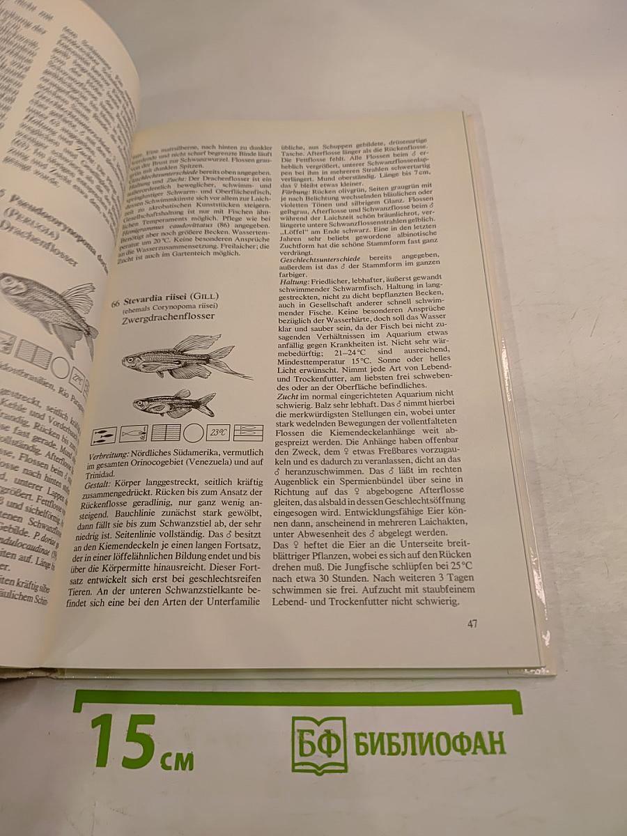 Salmler. Zierfisch-Monographien. Band 1