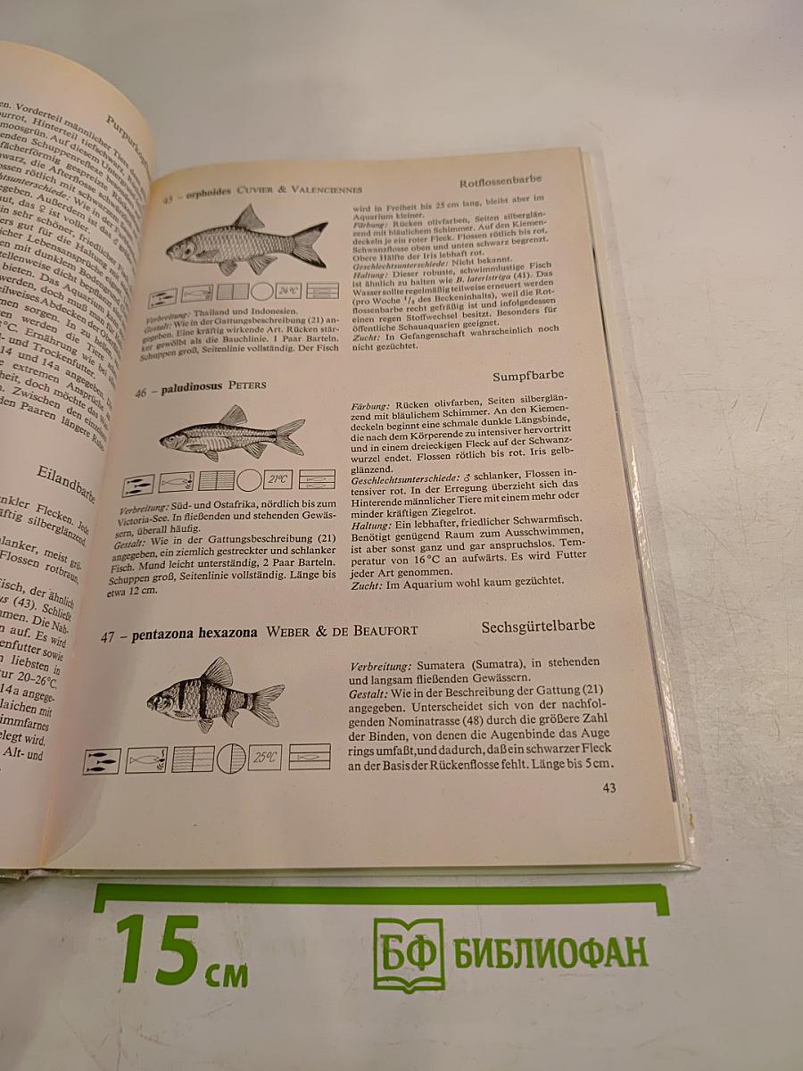 Karpfenfische: Zierfisch-Monographien Band 2