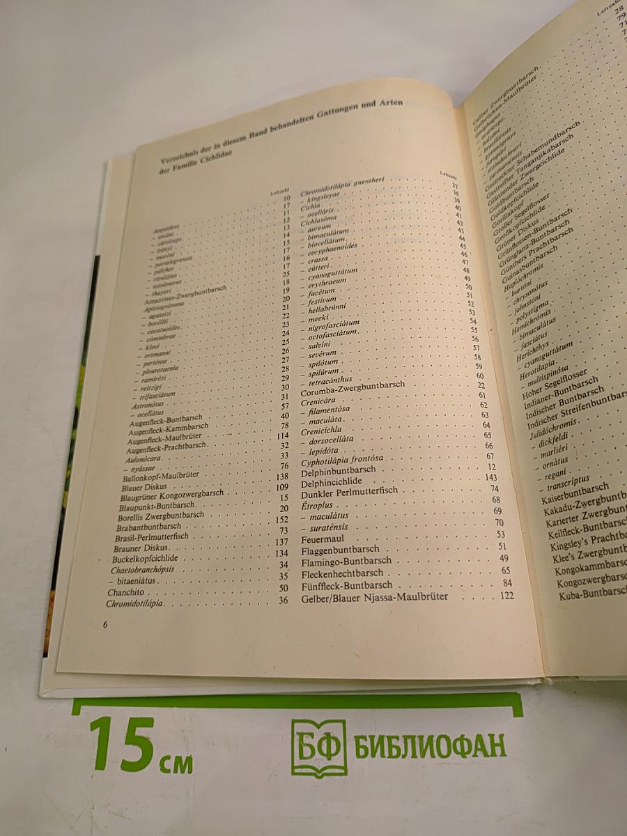 Buntbarsche Cichliden