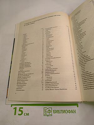 Buntbarsche Cichliden