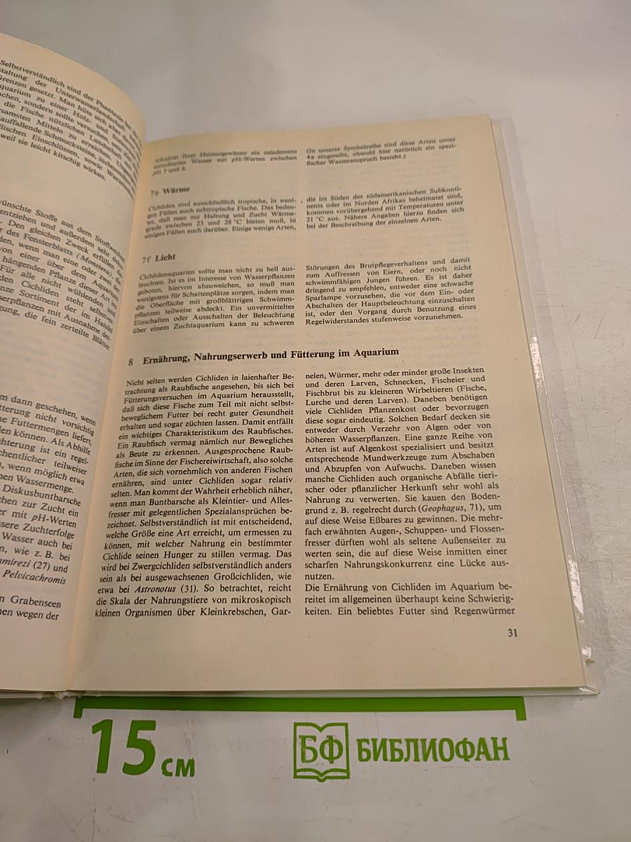 Buntbarsche Cichliden