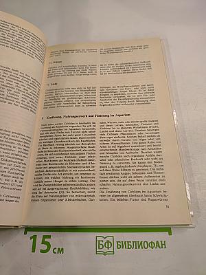 Buntbarsche Cichliden