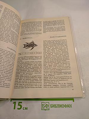 Buntbarsche Cichliden